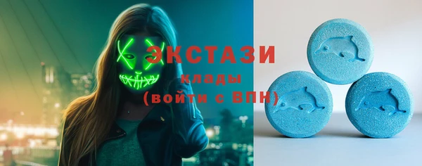 ECSTASY Богородск